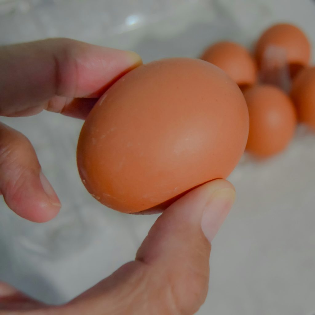 harga telur